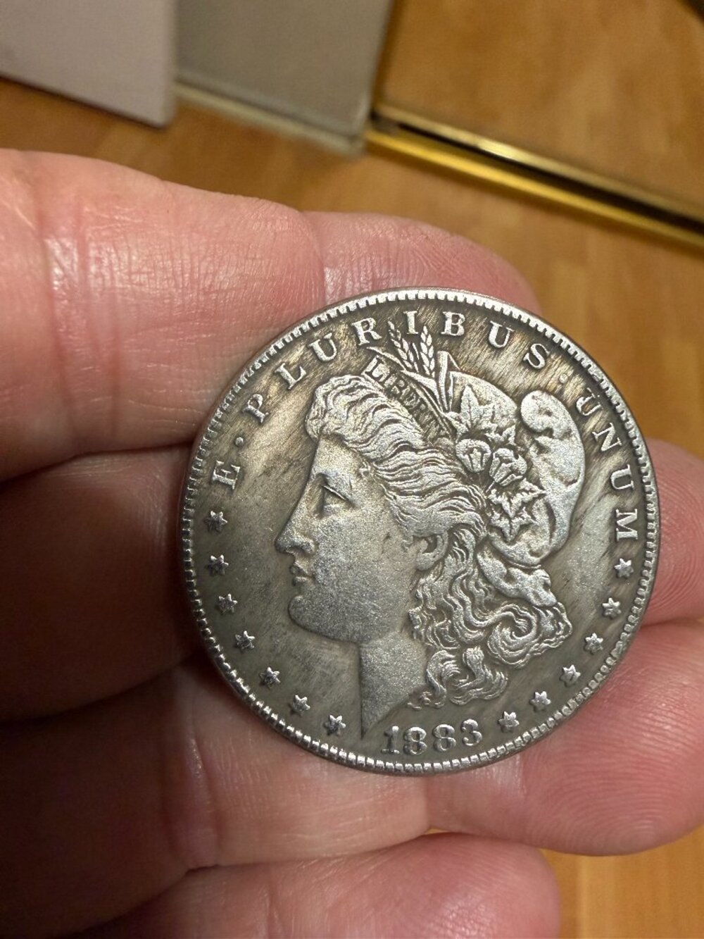 1883 Liberty of Americas Peace Coin Replica Artistic Souvenir